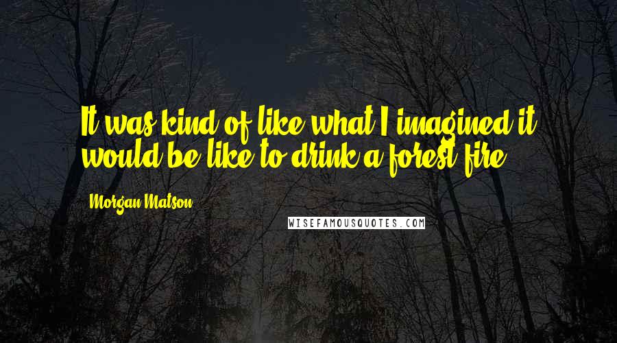 Morgan Matson quotes: It was kind of like what I imagined it would be like to drink a forest fire.