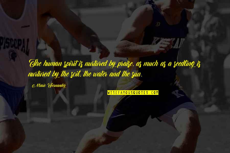Morgan Wallen N Word Quote Quotes By Mario Fernandez: The human spirit is nurtured by praise, as Morgan Wallen N Word Quote Quotes By Mario Fernandez: The human spirit is nurtured by praise, as