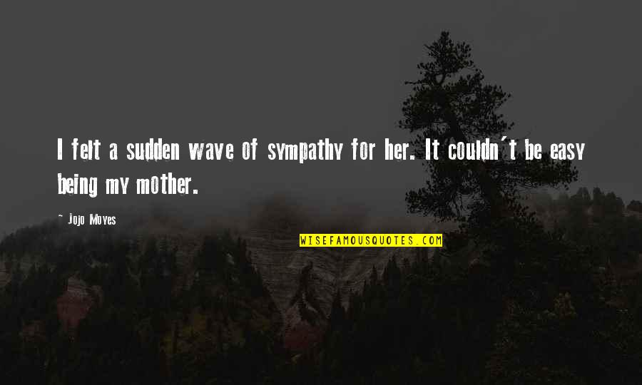 Morgan Wooten Quotes By Jojo Moyes: I felt a sudden wave of sympathy for