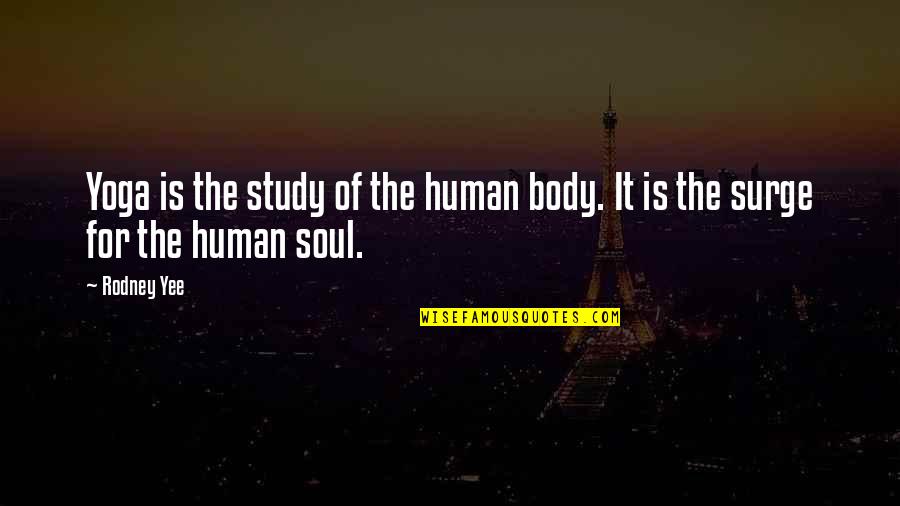 Morgansten Quotes By Rodney Yee: Yoga is the study of the human body.