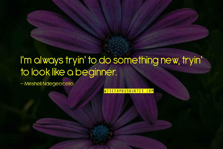 Morgenson Realty Quotes By Meshell Ndegeocello: I'm always tryin' to do something new, tryin'
