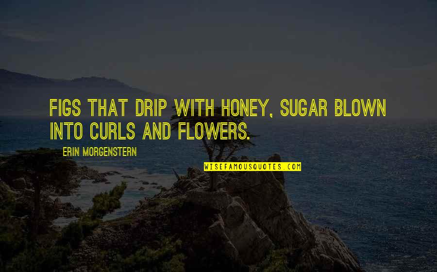 Morgenstern Quotes By Erin Morgenstern: Figs that drip with honey, sugar blown into