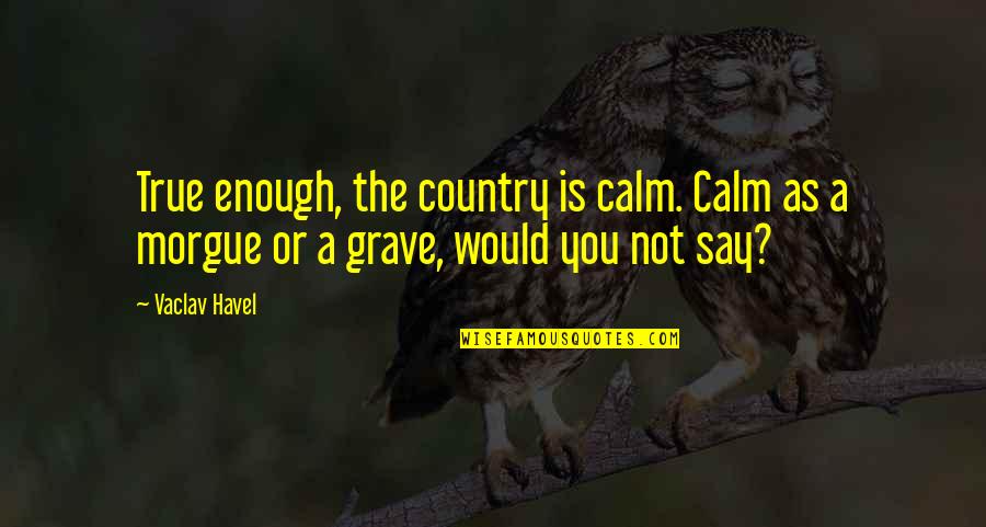 Morgue Quotes By Vaclav Havel: True enough, the country is calm. Calm as