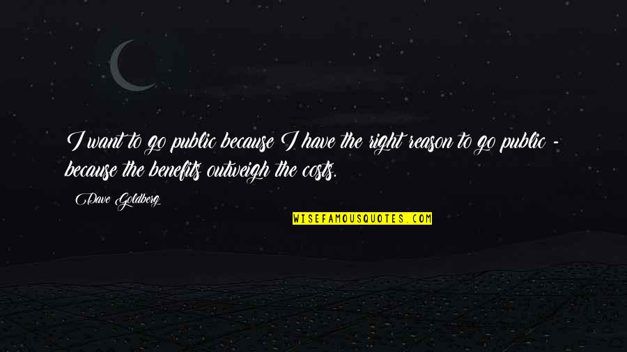 Moribund Pronunciation Quotes By Dave Goldberg: I want to go public because I have