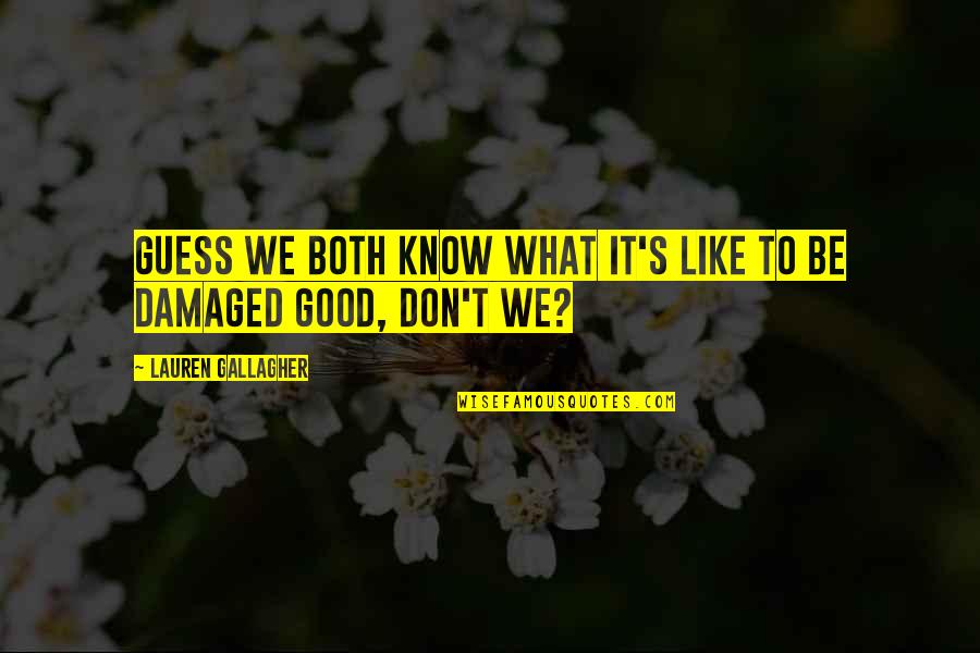 Moritifed Quotes By Lauren Gallagher: Guess we both know what it's like to