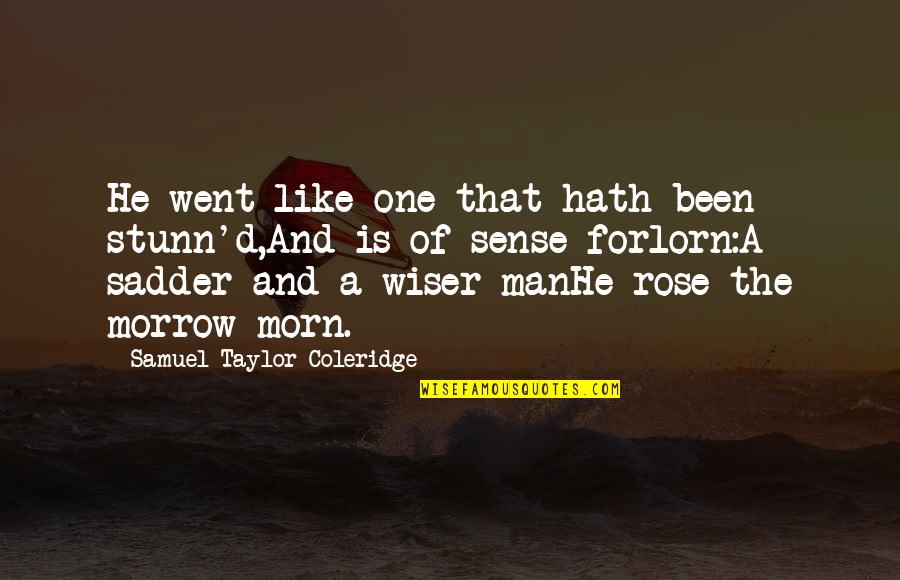 Morn Quotes By Samuel Taylor Coleridge: He went like one that hath been stunn'd,And