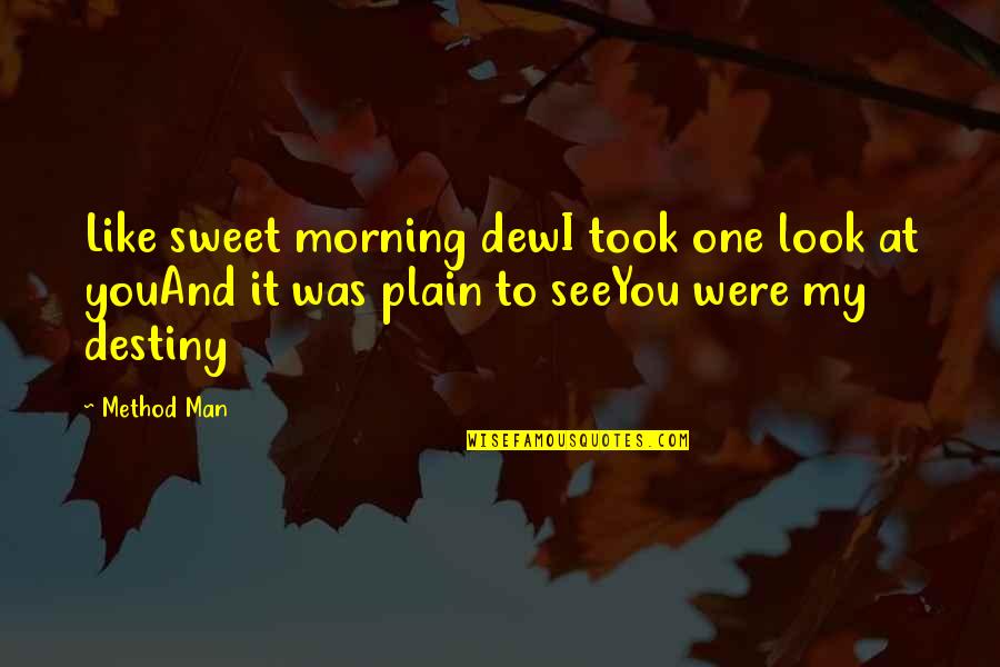 Morning Dew Quotes By Method Man: Like sweet morning dewI took one look at