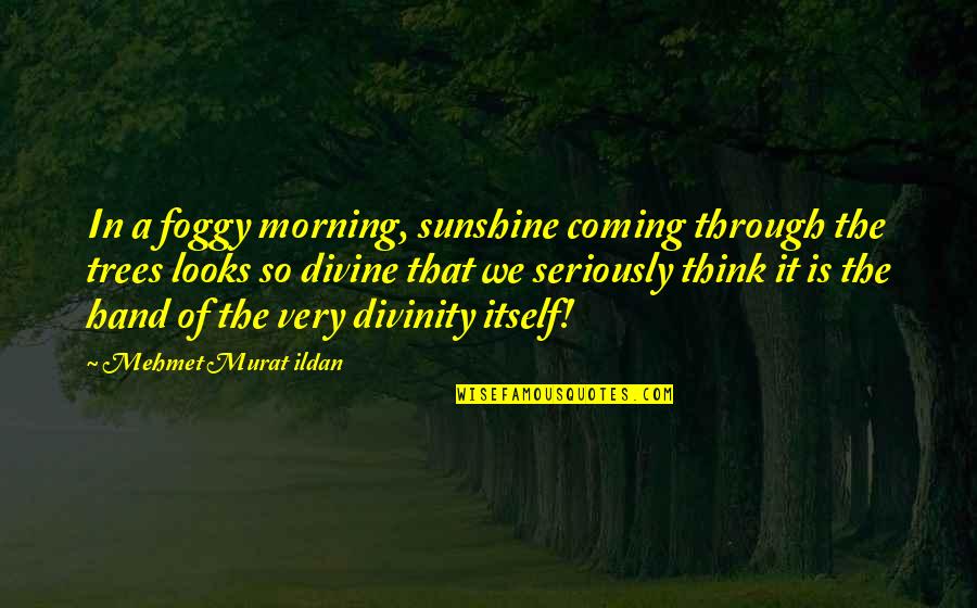 Morning Sunshine Quotes By Mehmet Murat Ildan: In a foggy morning, sunshine coming through the