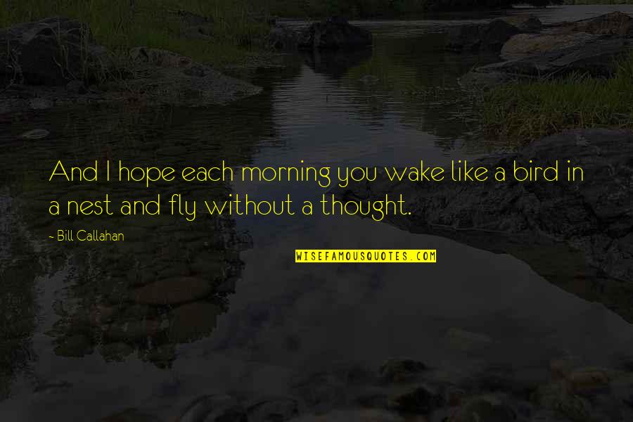 Morning With Hope Quotes By Bill Callahan: And I hope each morning you wake like