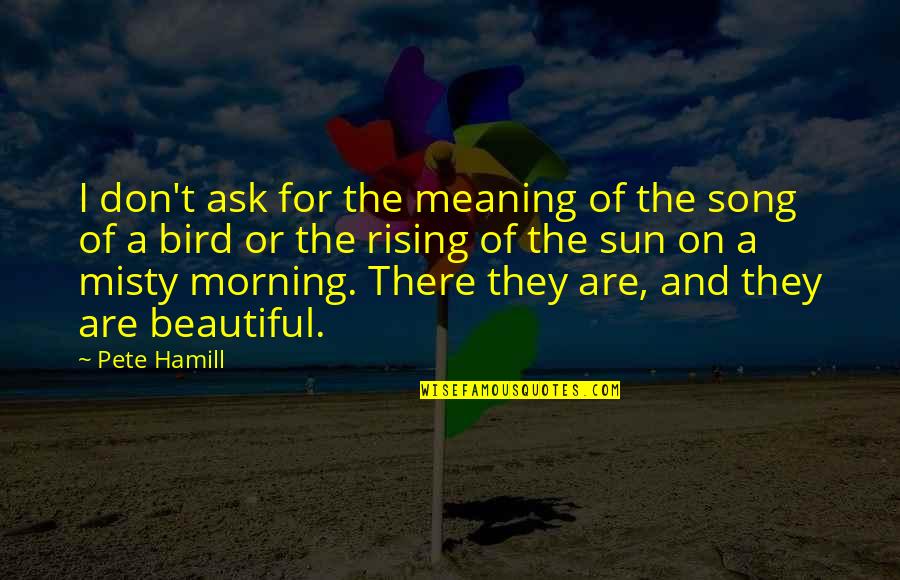 Morning With Nature Quotes By Pete Hamill: I don't ask for the meaning of the Morning With Nature Quotes By Pete Hamill: I don't ask for the meaning of the