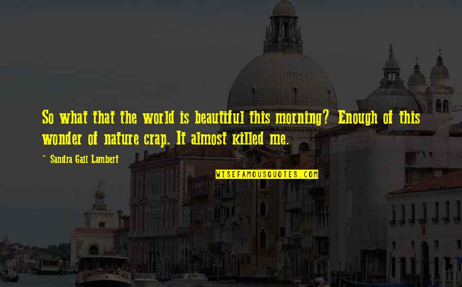 Morning With Nature Quotes By Sandra Gail Lambert: So what that the world is beautiful this Morning With Nature Quotes By Sandra Gail Lambert: So what that the world is beautiful this