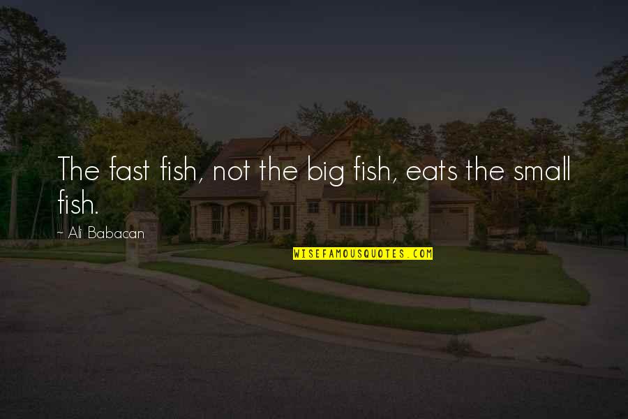 Morning Workout Motivation Quotes By Ali Babacan: The fast fish, not the big fish, eats