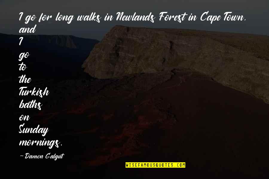 Mornings Are For Quotes By Damon Galgut: I go for long walks in Newlands Forest
