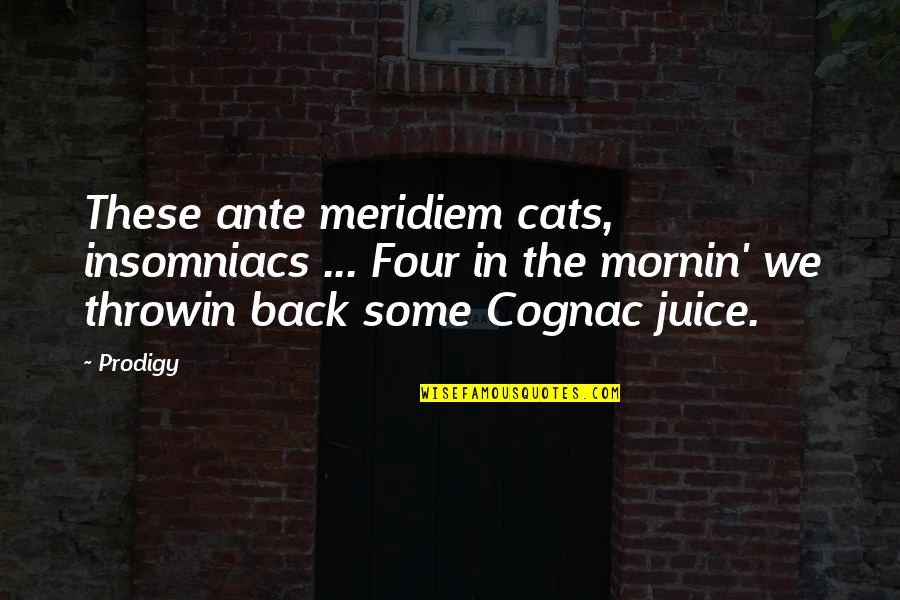 Mornin's Quotes By Prodigy: These ante meridiem cats, insomniacs ... Four in