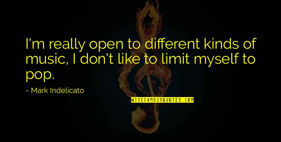 Moroccan Quotes By Mark Indelicato: I'm really open to different kinds of music,