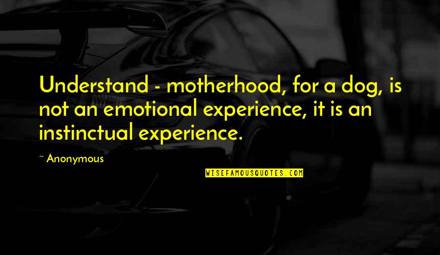 Moroianu Vasile Quotes By Anonymous: Understand - motherhood, for a dog, is not