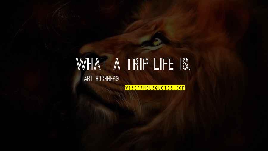 Morosely Synonym Quotes By Art Hochberg: What a trip life is.