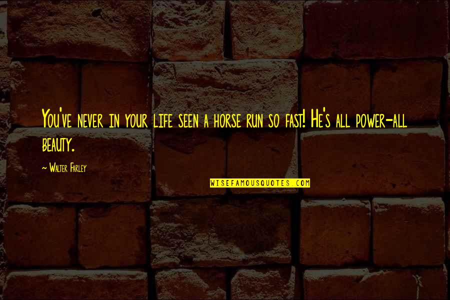Moross Family Quotes By Walter Farley: You've never in your life seen a horse