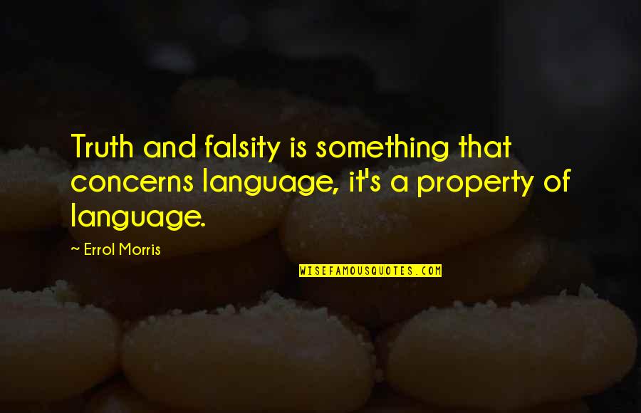Moroun Quotes By Errol Morris: Truth and falsity is something that concerns language,