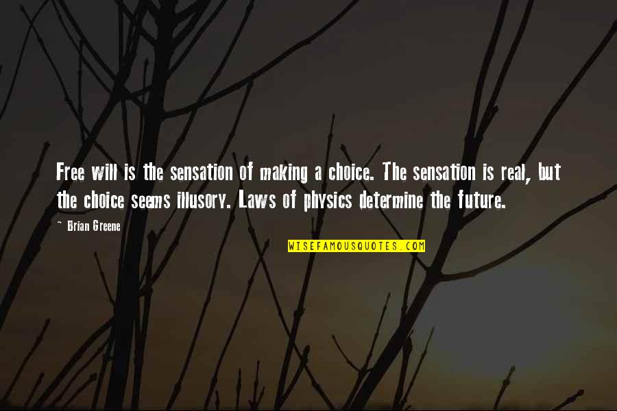 Morphology Of Fungi Quotes By Brian Greene: Free will is the sensation of making a