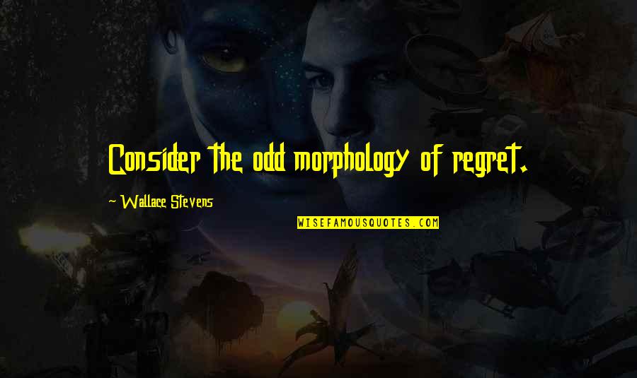 Morphology Quotes By Wallace Stevens: Consider the odd morphology of regret.