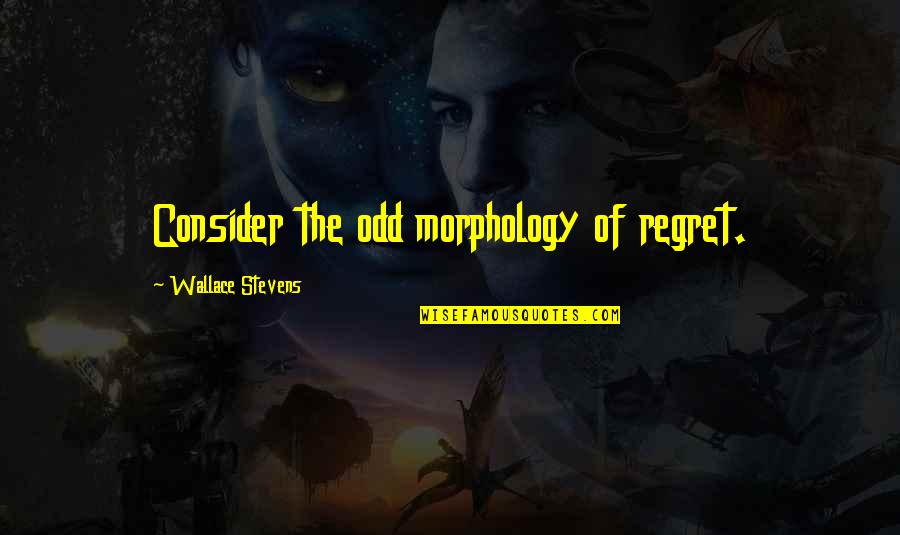 Morphology Quotes By Wallace Stevens: Consider the odd morphology of regret. Morphology Quotes By Wallace Stevens: Consider the odd morphology of regret.