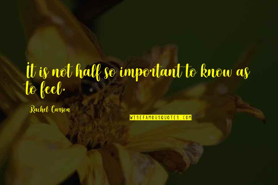 Morrant Rugby Quotes By Rachel Carson: It is not half so important to know Morrant Rugby Quotes By Rachel Carson: It is not half so important to know