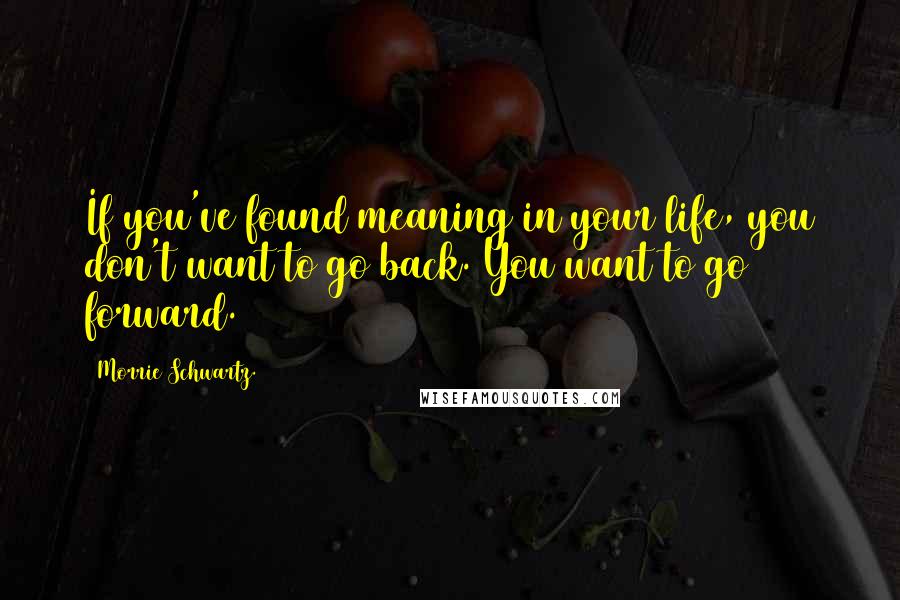 Morrie Schwartz. quotes: If you've found meaning in your life, you don't want to go back. You want to go forward.