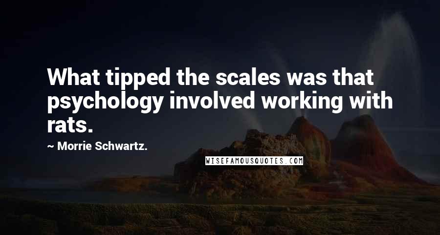 Morrie Schwartz. quotes: What tipped the scales was that psychology involved working with rats.