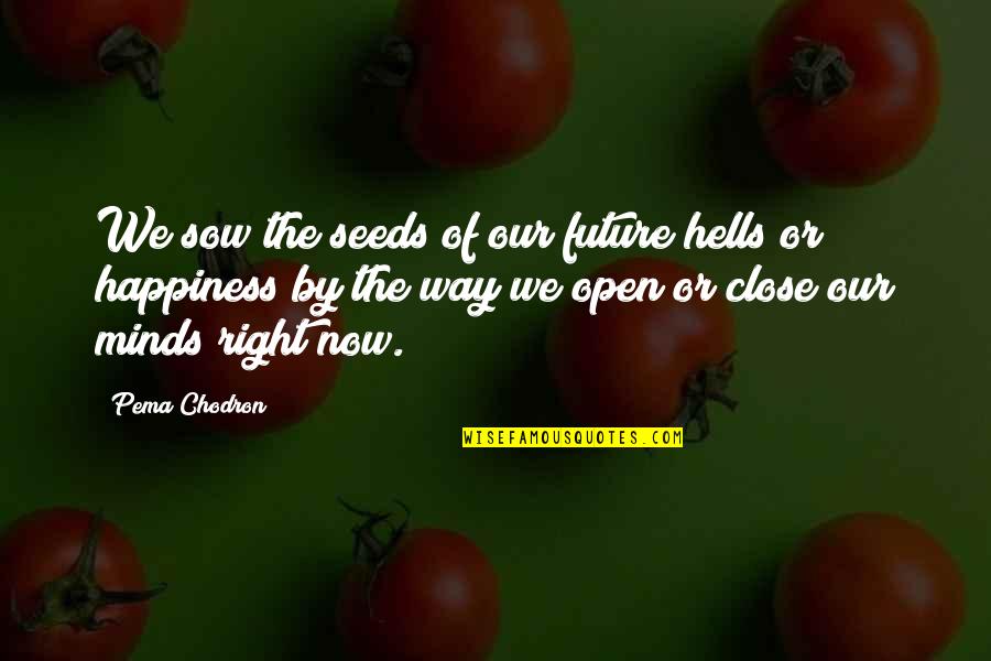 Morrissett Funeral Quotes By Pema Chodron: We sow the seeds of our future hells