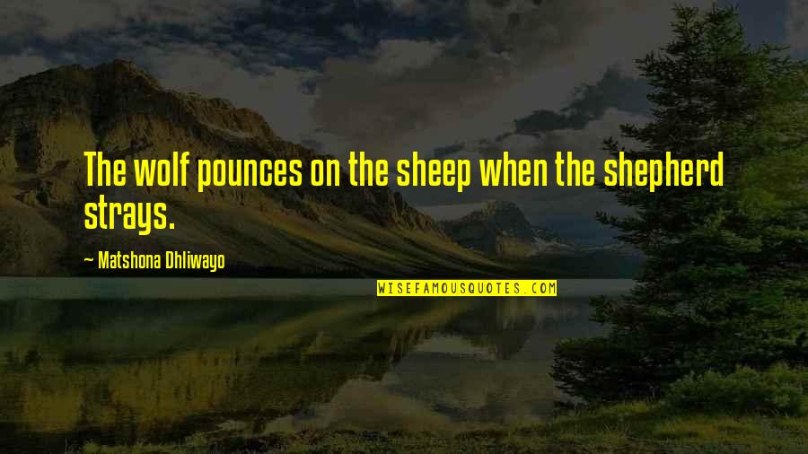Morsomme Trenings Quotes By Matshona Dhliwayo: The wolf pounces on the sheep when the
