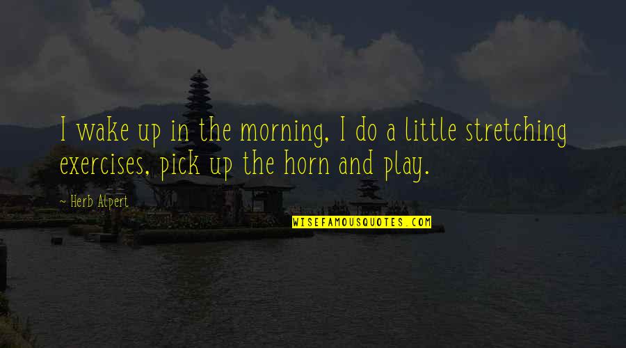 Mortal Kombat Game Character Quotes By Herb Alpert: I wake up in the morning, I do