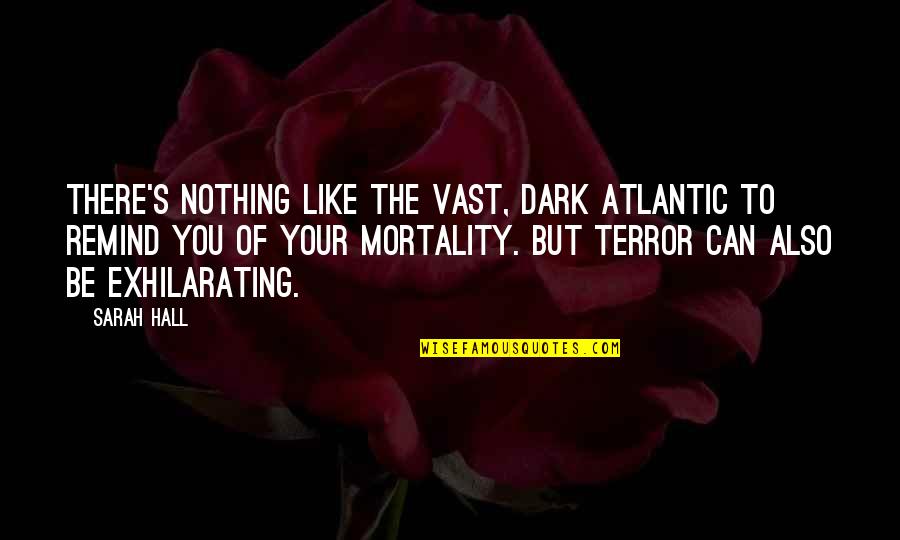 Mortality's Quotes By Sarah Hall: There's nothing like the vast, dark Atlantic to