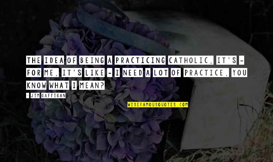 Mortaza Pashay Quotes By Jim Gaffigan: The idea of being a practicing Catholic, it's