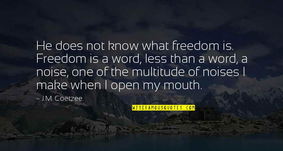 Morteros Quotes By J.M. Coetzee: He does not know what freedom is. Freedom