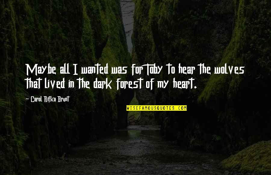Mortier Pilon Quotes By Carol Rifka Brunt: Maybe all I wanted was for Toby to