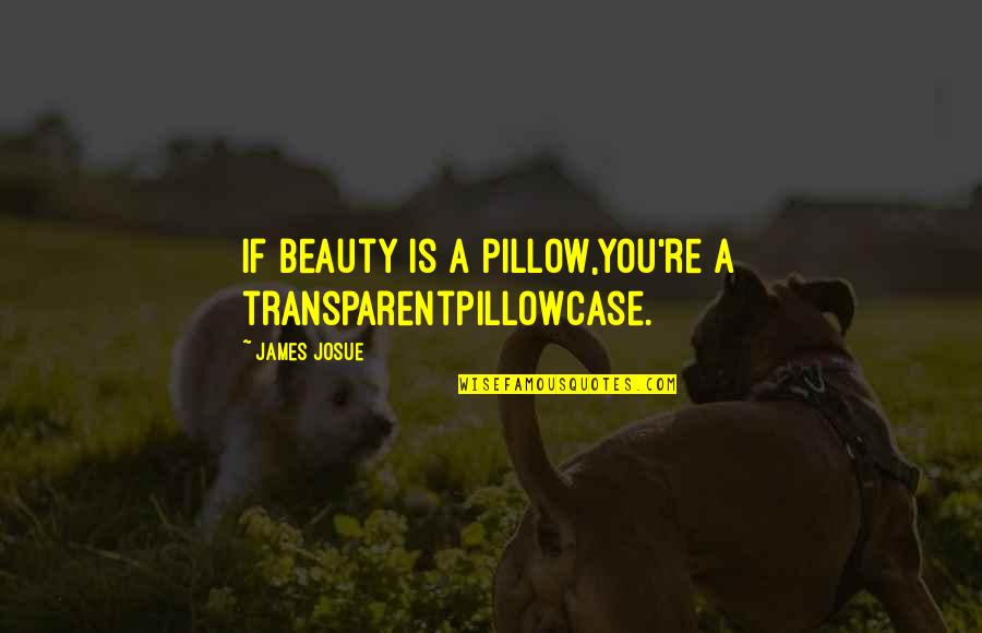 Mortui Quotes By James Josue: If beauty is a pillow,You're a transparentPillowcase.