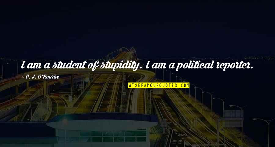 Mosaicism Colposcopy Quotes By P. J. O'Rourke: I am a student of stupidity. I am