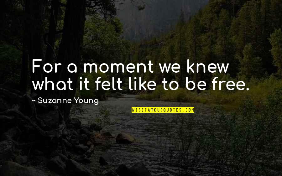 Mose Schrute Quotes By Suzanne Young: For a moment we knew what it felt