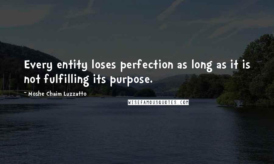 Moshe Chaim Luzzatto quotes: Every entity loses perfection as long as it is not fulfilling its purpose.