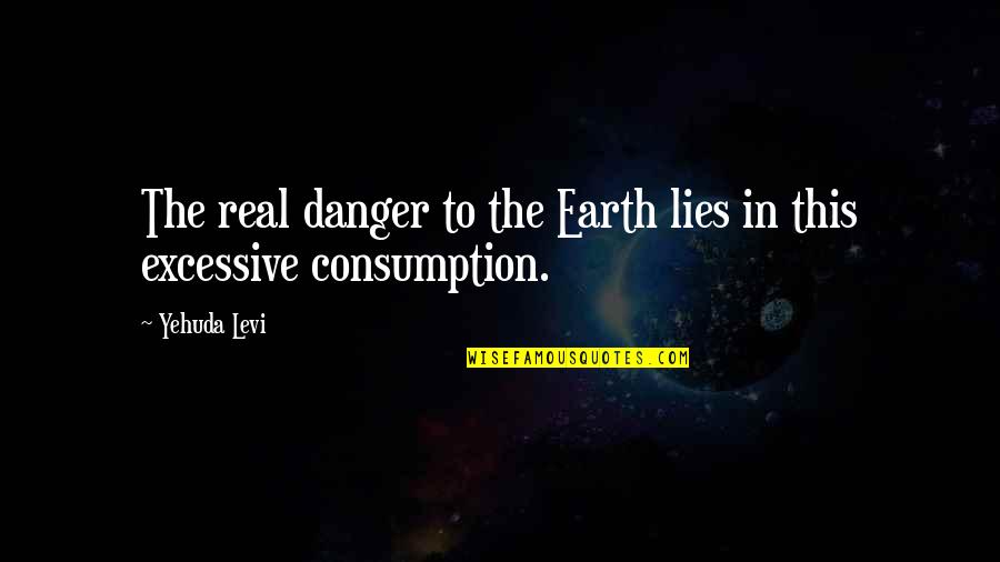 Mosheh Twersky Quotes By Yehuda Levi: The real danger to the Earth lies in