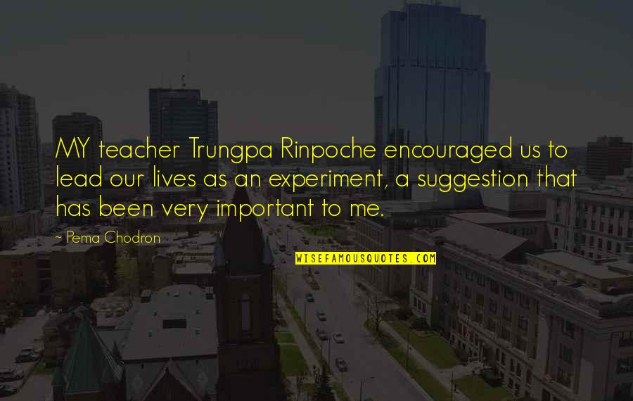 Mosling Quotes By Pema Chodron: MY teacher Trungpa Rinpoche encouraged us to lead Mosling Quotes By Pema Chodron: MY teacher Trungpa Rinpoche encouraged us to lead