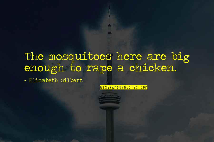 Mosquitoes Quotes By Elizabeth Gilbert: The mosquitoes here are big enough to rape