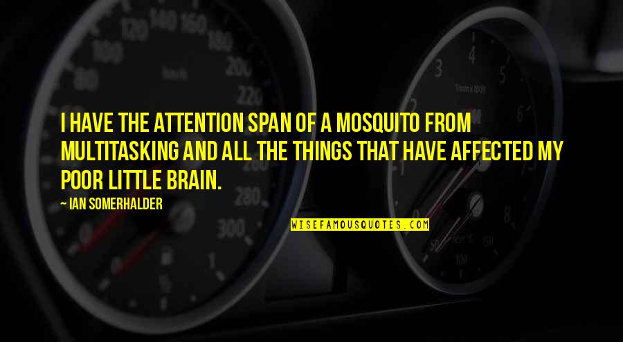 Mosquito's Quotes By Ian Somerhalder: I have the attention span of a mosquito Mosquito's Quotes By Ian Somerhalder: I have the attention span of a mosquito