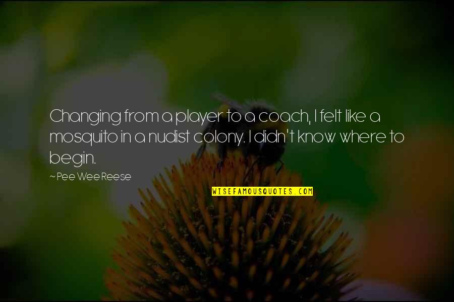 Mosquito's Quotes By Pee Wee Reese: Changing from a player to a coach, I Mosquito's Quotes By Pee Wee Reese: Changing from a player to a coach, I
