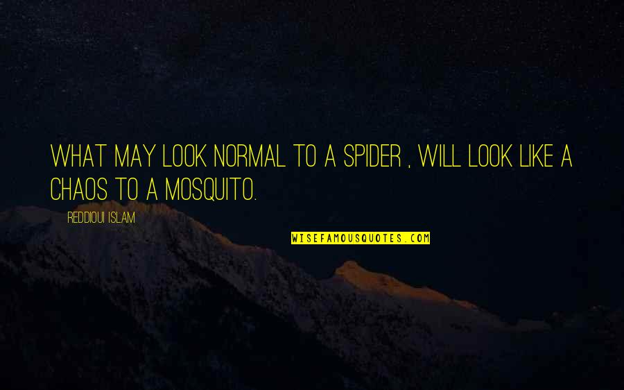 Mosquito's Quotes By Reddioui Islam: What may look normal to a spider ,