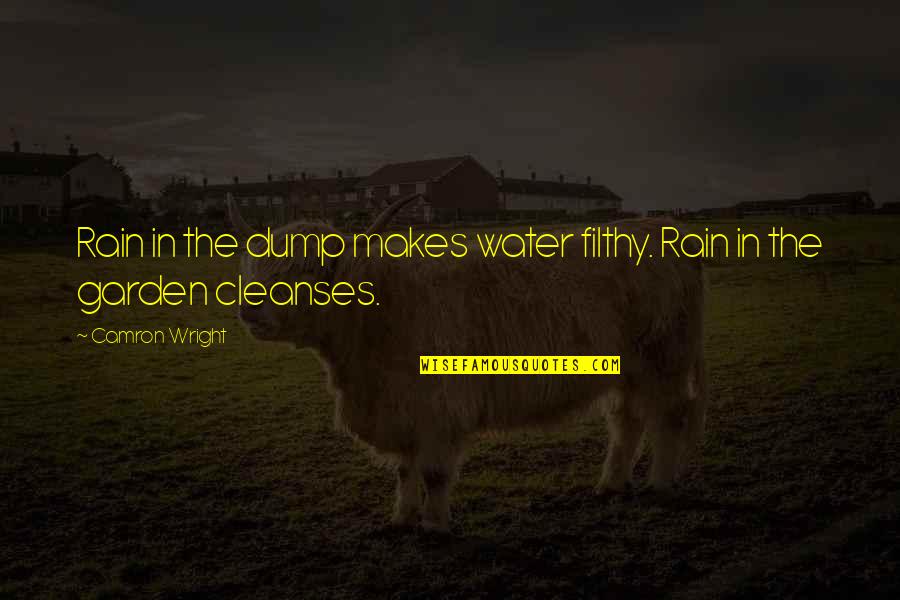Most Affected Person Quotes By Camron Wright: Rain in the dump makes water filthy. Rain