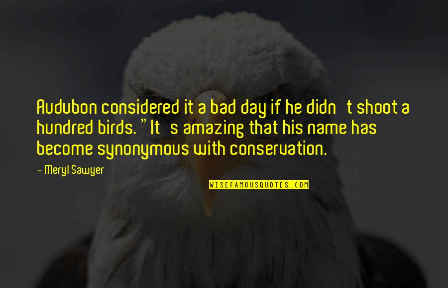 Most Amazing Romantic Quotes By Meryl Sawyer: Audubon considered it a bad day if he