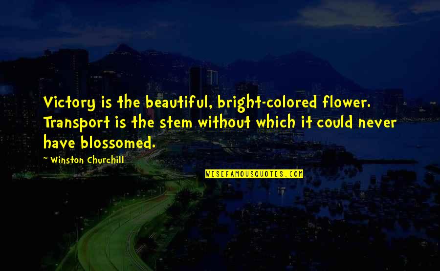 Most Beautiful Flower Quotes By Winston Churchill: Victory is the beautiful, bright-colored flower. Transport is