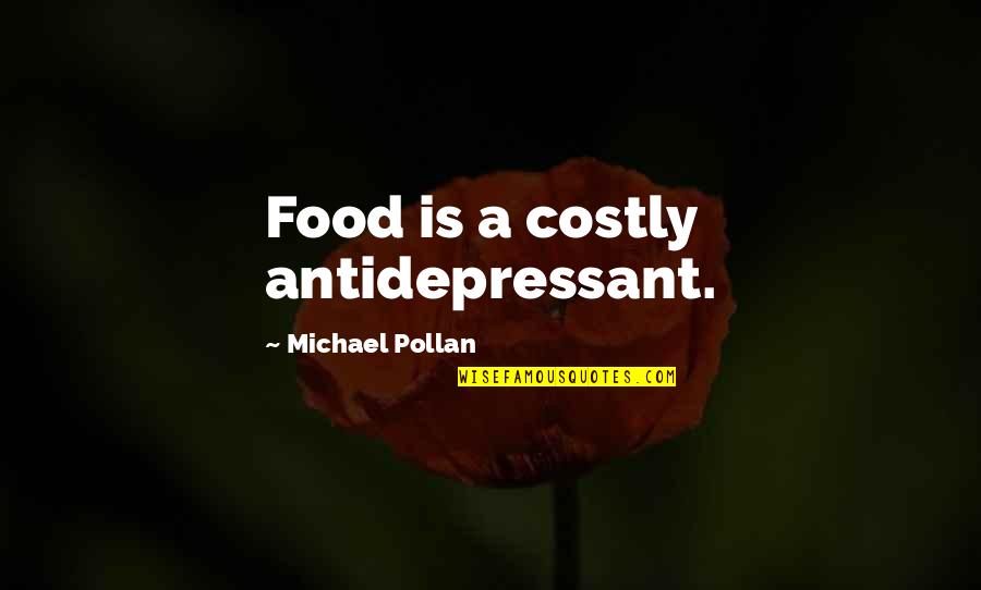 Most Beautiful Gossip Girl Quotes By Michael Pollan: Food is a costly antidepressant.